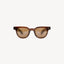 HEAVY ROCK SUNGLASSES Sunglasses ONE SIZE / BROWN - BRUT Clothing US