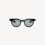 HEAVY ROCK SUNGLASSES Sunglasses ONE SIZE / BLACK - BRUT Clothing US